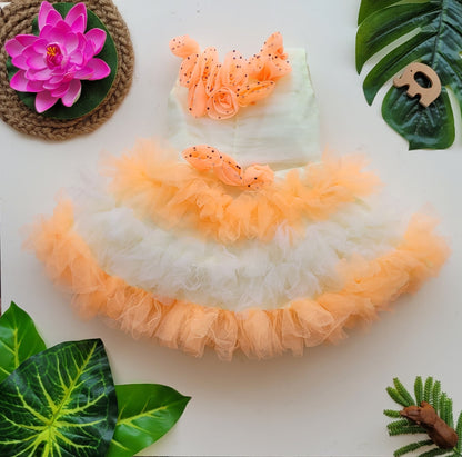 babyNjungle Partywear frills Multicolour Net frock for girls