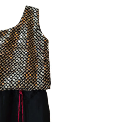 Babynjungle Sleeveless Black Embroidered Brocade Choli With Silk Lehengha choli Set for Girls